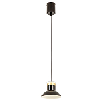 Подвесной светильник Celevis Black варинант исполнения - 2 | Loft Concept в Санкт-петербурге