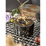 Шкатулка черного цвета с крышкой с фигуркой льва Eden Garden варинант исполнения - 6 | Loft Concept в Санкт-петербурге