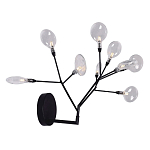 Бра в виде ветвей с прозрачными круглыми плафонами Moooi варинант исполнения - 2 | Loft Concept в Санкт-петербурге