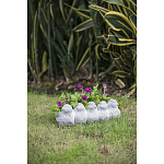 Кашпо Canaries варинант исполнения - 6 | Loft Concept в Санкт-петербурге