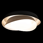 Потолочный светильник круглый черного цвета из металла Vita Cuna варинант исполнения - 1 | Loft Concept в Санкт-петербурге