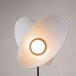 Напольный светильник Evolution 3000К 12Вт варинант исполнения - 5 | Loft Concept в Санкт-петербурге