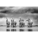 Книга Beusker. Look into my Eyes варинант исполнения - 4 | Loft Concept в Санкт-петербурге