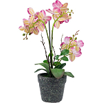 Декоративный искусственное растение Pink orchid варинант исполнения - 5 | Loft Concept в Санкт-петербурге