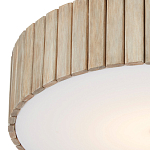 Потолочный светильник круглый светодиодный Contrasting Elements варинант исполнения - 1 | Loft Concept в Санкт-петербурге