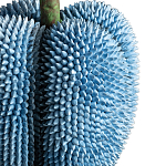 Статуэтка тропический фрукт Tropical Fruit blue варинант исполнения - 3 | Loft Concept в Санкт-петербурге