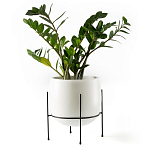 Кашпо из керамики Elevated Planters 32 варинант исполнения - 11 | Loft Concept в Санкт-петербурге