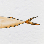 Плитка с узором Рыба Русалка варинант исполнения - 6 | Loft Concept в Санкт-петербурге