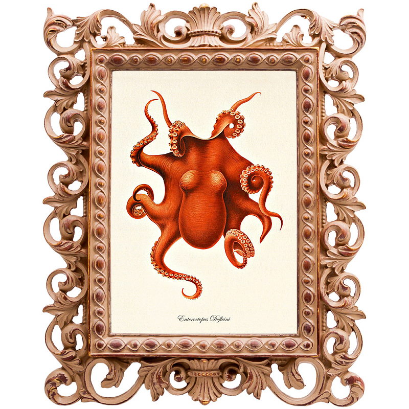 Постер Red Octopus Poster Бежевый Красный в Санкт-петербурге | Loft Concept 