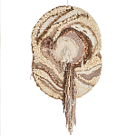 Овальный Современный Гобелен Абстракция в бежевых тонах Shallow варинант исполнения - 7 | Loft Concept в Санкт-петербурге