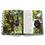 Подарочнный коллекционный фото альбом AFRICAN ADVENTURES NEW 2023 ASSOULINE HC UNBELIEVABLE ILLUSTRATIONS Safari варинант исполнения - 8 | Loft Concept в Санкт-петербурге