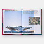 Radical Architecture of the Future варинант исполнения - 4 | Loft Concept в Санкт-петербурге