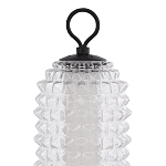 Настольная лампа с прозрачным факутрным стеклянным плафоном Sonora варинант исполнения - 3 | Loft Concept в Санкт-петербурге