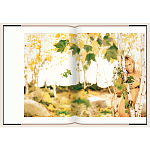 Подарочный Фотоальбом Matthew Rolston Beauty light 2006 варинант исполнения - 8 | Loft Concept в Санкт-петербурге