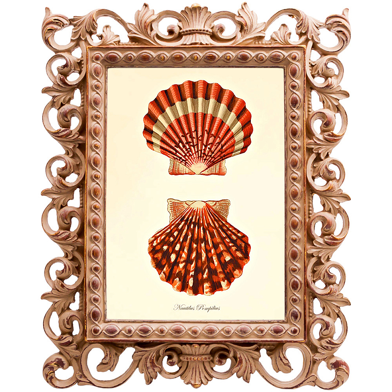 Постер Red Scallop Poster Бежевый Красный в Санкт-петербурге | Loft Concept 