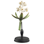 Статуэтка Wonderboom варинант исполнения - 1 | Loft Concept в Санкт-петербурге