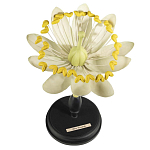 Статуэтка Tilia варинант исполнения - 1 | Loft Concept в Санкт-петербурге