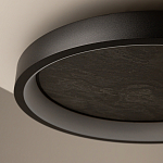 Потолочный светильник Orign 3000К варинант исполнения - 5 | Loft Concept в Санкт-петербурге