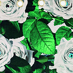 Штора Seletti Roses варинант исполнения - 1 | Loft Concept в Санкт-петербурге