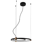 Люстра подвесная светодиодная черный металл Ring Horizontal варинант исполнения - 2 | Loft Concept в Санкт-петербурге