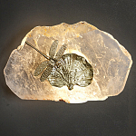 Бра Декоративный лист с стрекозой Glacial Fragment варинант исполнения - 2 | Loft Concept в Санкт-петербурге