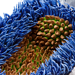 Дизайнерская статуэтка для интерьера Tropical Fruit Pandora 12 варинант исполнения - 3 | Loft Concept в Санкт-петербурге