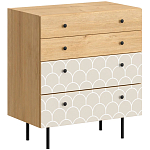 Комод с принтом на ящиках Elise Chest of Drawers варинант исполнения - 9 | Loft Concept в Санкт-петербурге