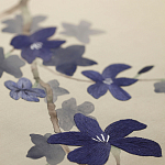 Обои ручная роспись Cherry Tree Original colourway on Stone Ochre dyed silk варинант исполнения - 3 | Loft Concept в Санкт-петербурге