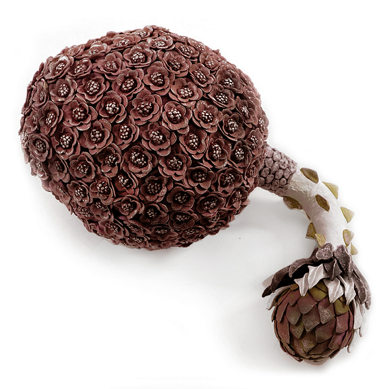 Коричневый фрукт Exotic Fruit Artichoke Brown 42 Коричневый Коричневый фрукт Exotic Fruit Artichoke Brown 42 Коричневый в Санкт-петербурге | Loft Concept