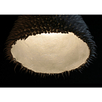 Светильник Acus варинант исполнения - 3 | Loft Concept в Санкт-петербурге