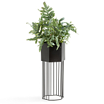 Кашпо Elevated Planters Сlive 59 черное  варинант исполнения - 2 | Loft Concept в Санкт-петербурге