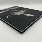 Коллекционная редкая книга Madonna: Nudes + by Martin H.M. Schreiber 2017 Букинистика варинант исполнения - 4 | Loft Concept в Санкт-петербурге