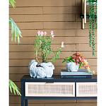 Кашпо A collection of baby rabbits варинант исполнения - 5 | Loft Concept в Санкт-петербурге