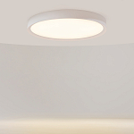 Потолочный светильник Incognito 2700-4000К 46Вт варинант исполнения - 2 | Loft Concept в Санкт-петербурге