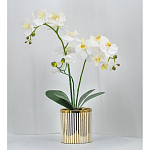 Декоративный искусственное растение Lush Orchid варинант исполнения - 2 | Loft Concept в Санкт-петербурге