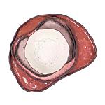 Сет из 4-х тарелок «QARTZITE» варинант исполнения - 5 | Loft Concept в Санкт-петербурге