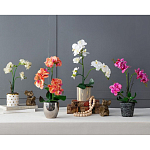 Декоративный искусственное растение Pink orchid варинант исполнения - 11 | Loft Concept в Санкт-петербурге