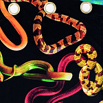 Штора Seletti Snakes Black варинант исполнения - 1 | Loft Concept в Санкт-петербурге