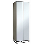 Двухдверный шкаф с зеркальными дверцами Strict Lines варинант исполнения - 1 | Loft Concept в Санкт-петербурге