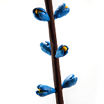 Синий экзотический фрукт статуэтка для интерьераTropical Fruit Pandora 9 варинант исполнения - 2 | Loft Concept в Санкт-петербурге