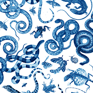 Мебельная ткань Велюр 145 см Т4-86