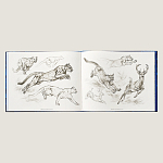 Лимитированная подарочная книга HERMES Fierce and Fragile book, English version варинант исполнения - 4 | Loft Concept в Санкт-петербурге