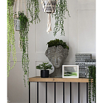 Кашпо Wonder Woman варинант исполнения - 4 | Loft Concept в Санкт-петербурге