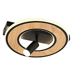 Потолочный светильник круглый GAVIN WOOD варинант исполнения - 1 | Loft Concept в Санкт-петербурге