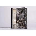 Книга Fantastic Gustave Dore варинант исполнения - 3 | Loft Concept в Санкт-петербурге