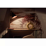 Настольная лампа с конусообразным плафоном Plum Table Lamp варинант исполнения - 6 | Loft Concept в Санкт-петербурге