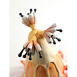 Статуэтка тропический фрукт Pandora Tropical Fruit Orange варинант исполнения - 3 | Loft Concept в Санкт-петербурге