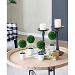 Декоративный искусственное растение Boxwood One варинант исполнения - 7 | Loft Concept в Санкт-петербурге