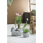 Кашпо A collection of baby rabbits варинант исполнения - 4 | Loft Concept в Санкт-петербурге