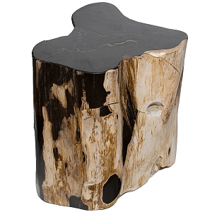 Стул из окаменелого дерева Petrified Wood Black